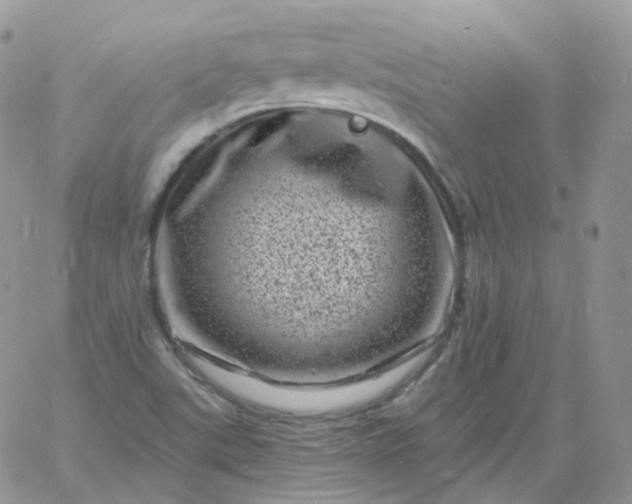 X0000060791507200511241831