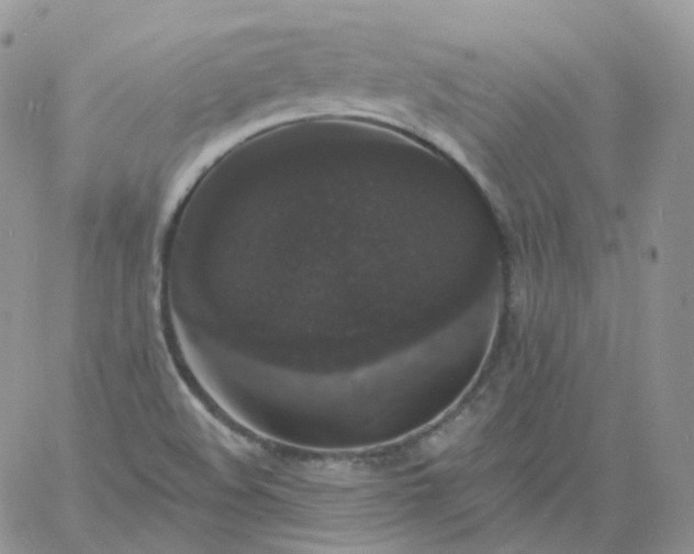 X0000060791508200511241831