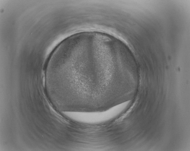 X0000060791509200511241831