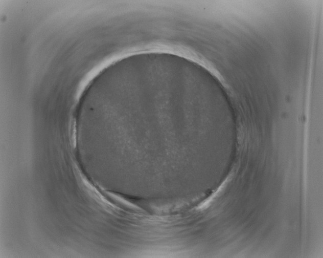 X0000060791510200511241831