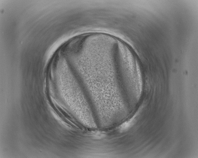 X0000060791511200511241831