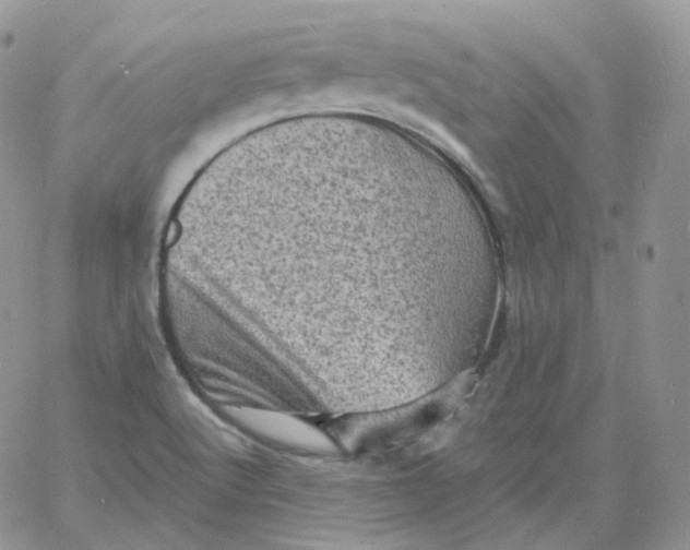 X0000060791512200511241831