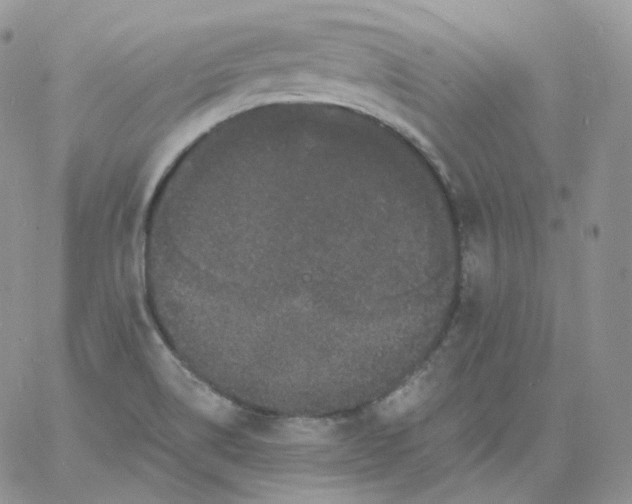 X0000060791514200511241831