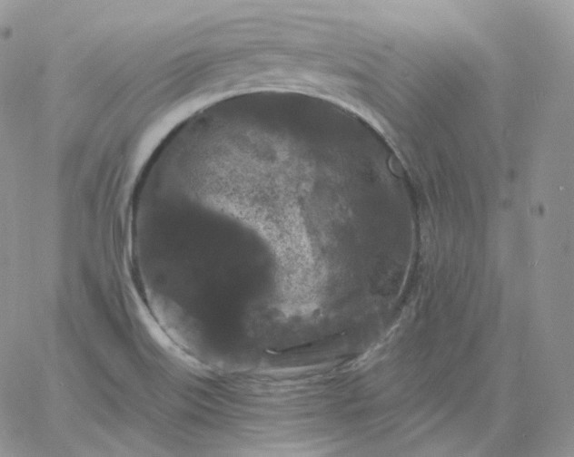 X0000060791515200511241831