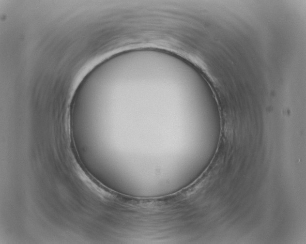 X0000060791516200511241832