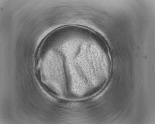 X0000060791517200511241832