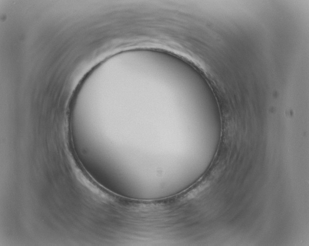 X0000060791518200511241832