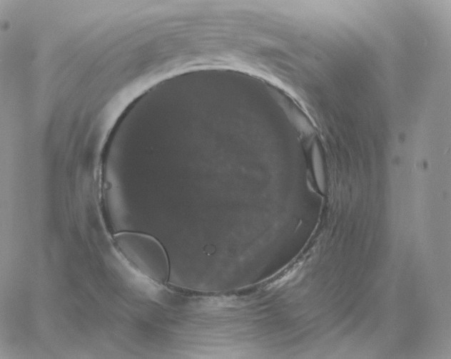 X0000060791519200511241832