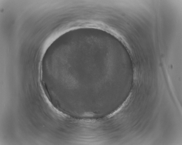 X0000060791520200511241832