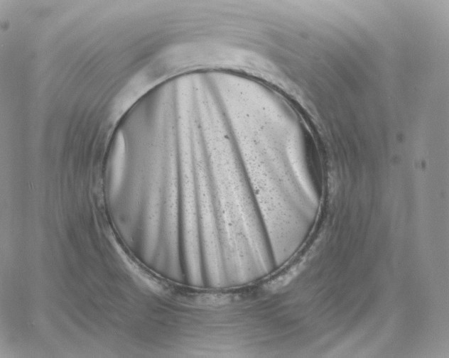 X0000060791521200511241832