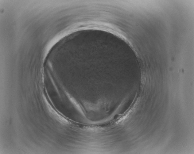 X0000060791522200511241832