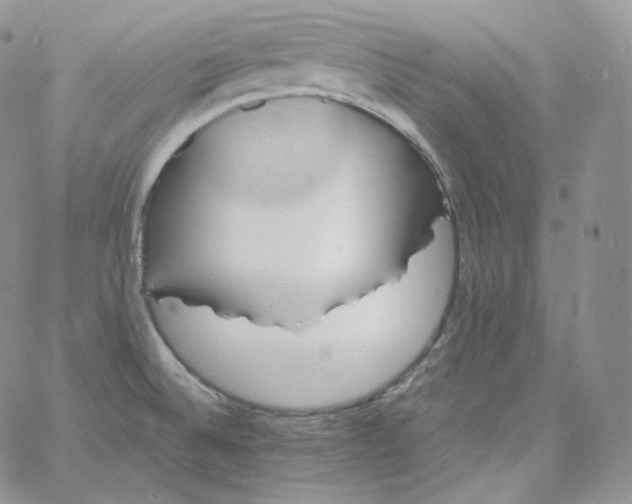 X0000060791524200511241832