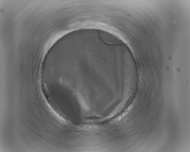 X0000060791525200511241832