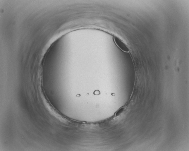 X0000060791526200511241832