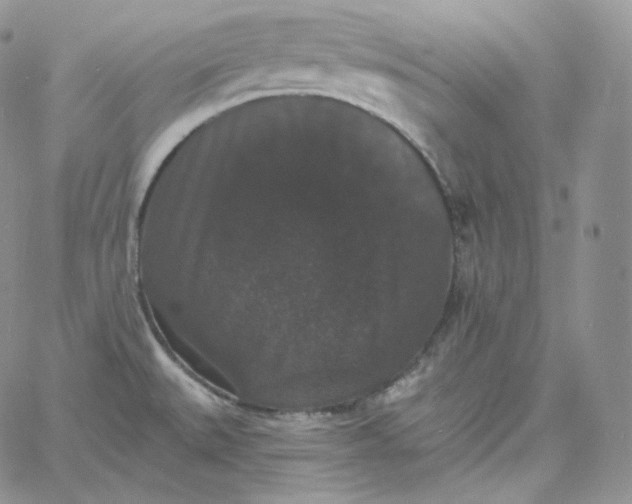 X0000060791527200511241832