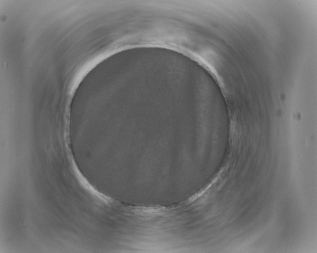 X0000060791528200511241832