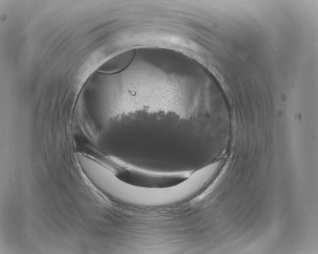 X0000060791529200511241832