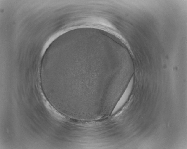 X0000060791530200511241832