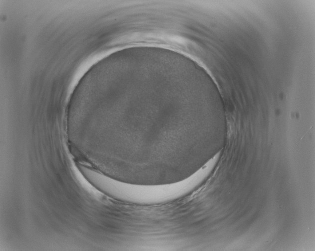 X0000060791531200511241832