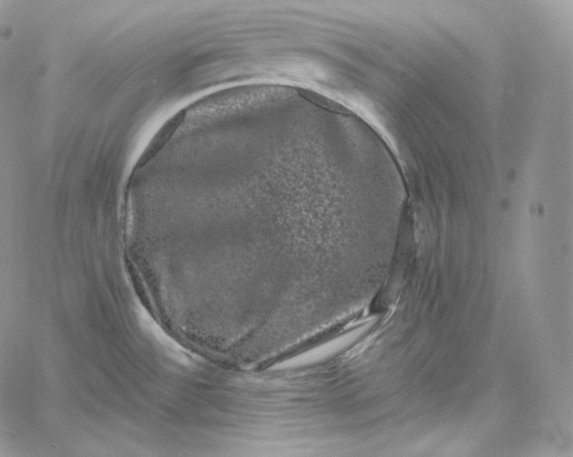 X0000060791532200511241832