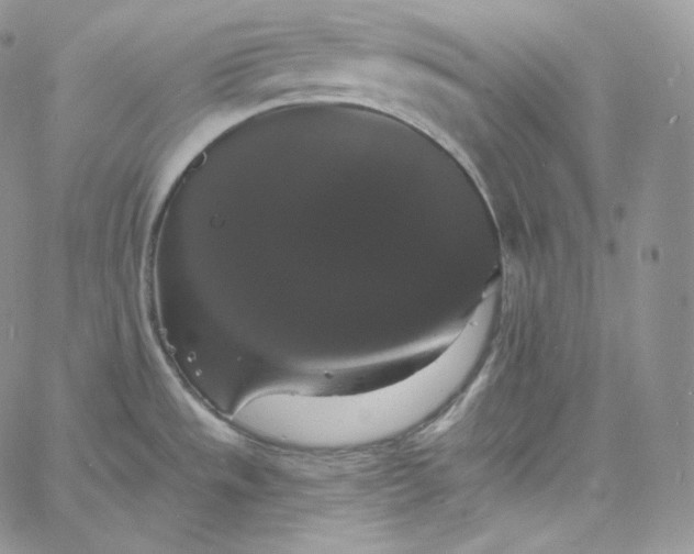 X0000060791533200511241832