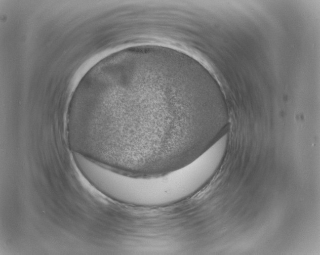 X0000060791535200511241832