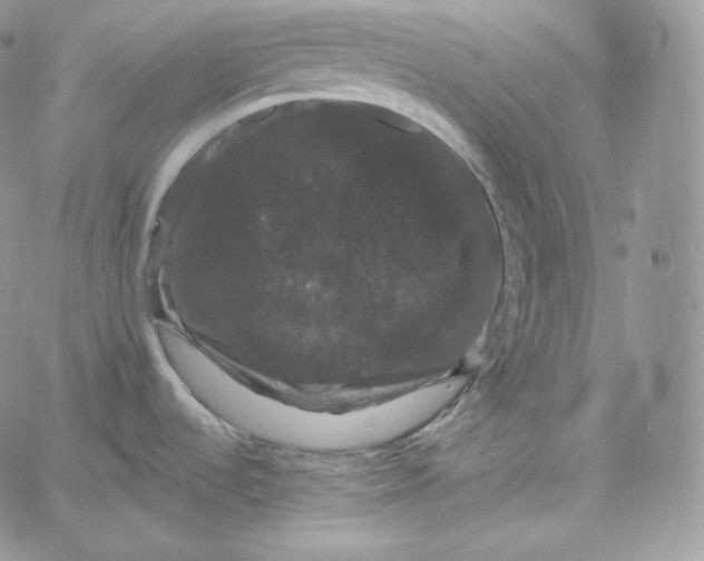 X0000060791536200511241832