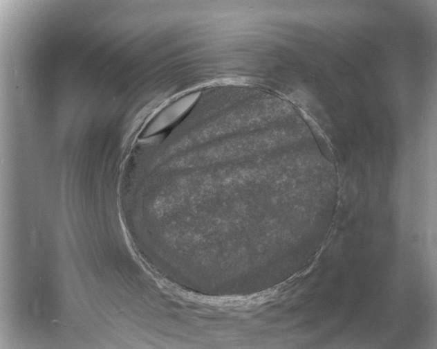 X0000060790001200512011718