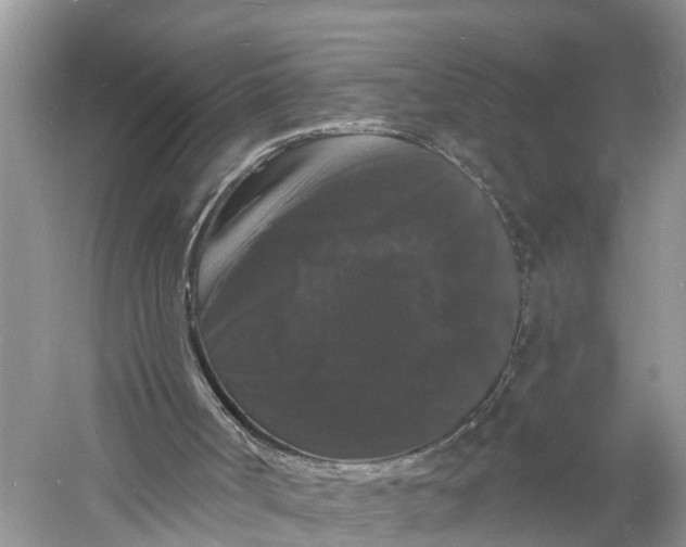 X0000060790002200512011718