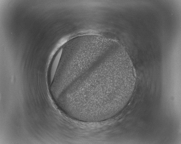 X0000060790006200512011718