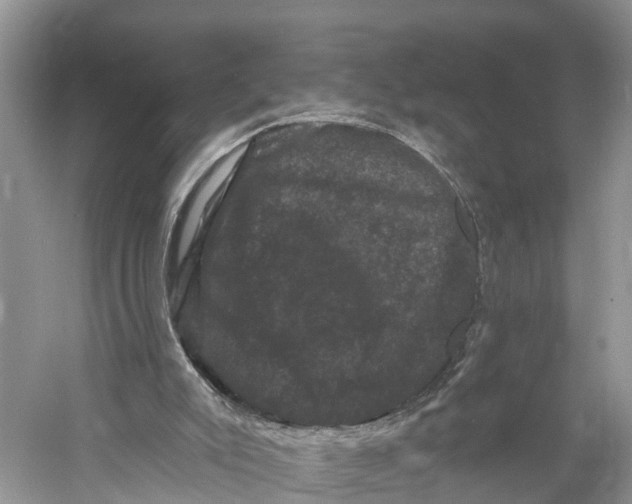 X0000060790007200512011718