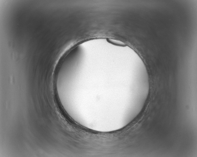 X0000060790008200512011718