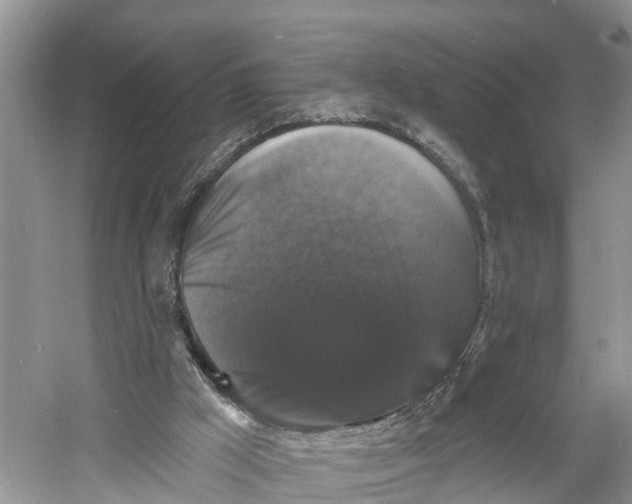 X0000060790009200512011718