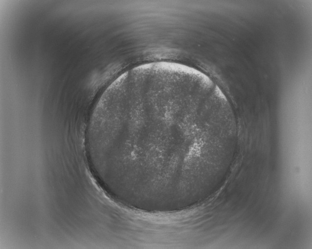 X0000060790010200512011718