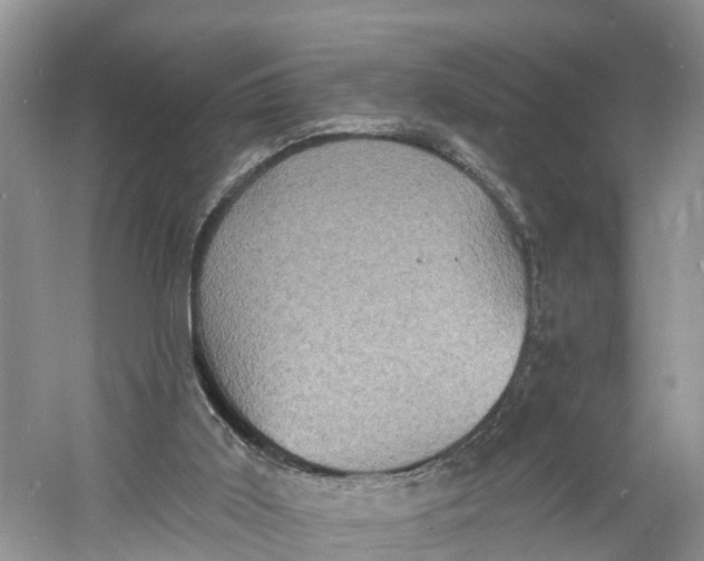 X0000060790011200512011718