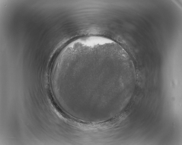 X0000060790012200512011718