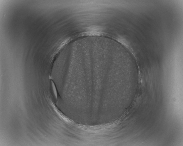 X0000060790013200512011718