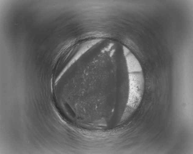 X0000060790014200512011718