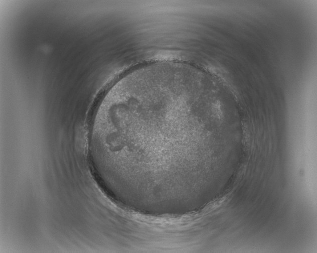 X0000060790016200512011718