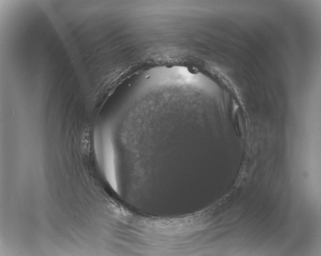 X0000060790017200512011718