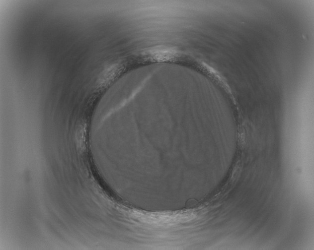 X0000060790018200512011718