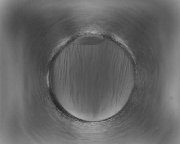 X0000060790019200512011718