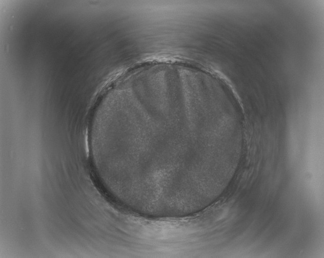 X0000060790020200512011718