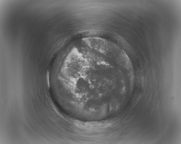 X0000060790022200512011718