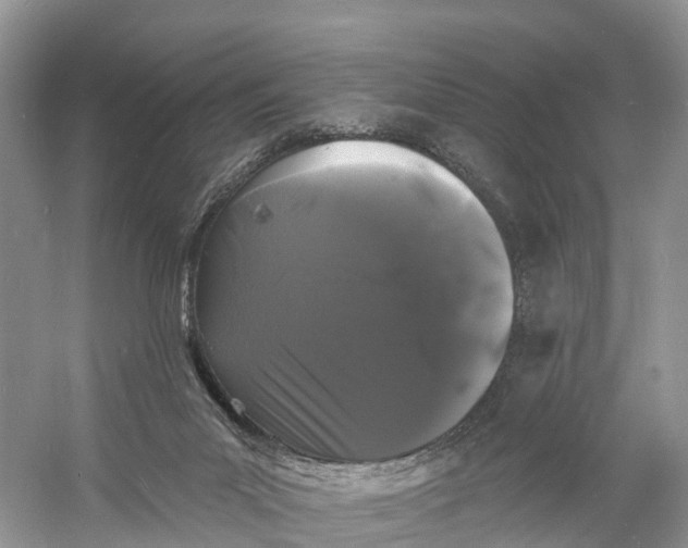 X0000060790023200512011718