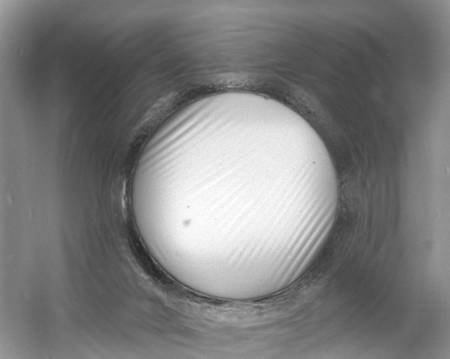 X0000060790024200512011718