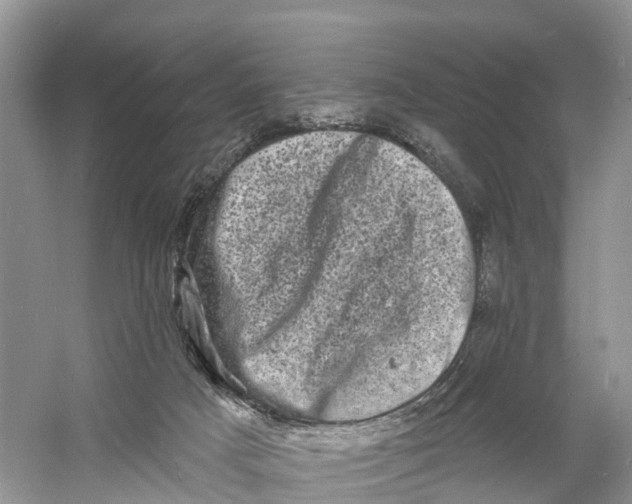 X0000060790025200512011718