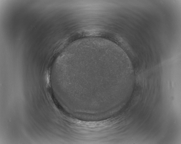 X0000060790026200512011718