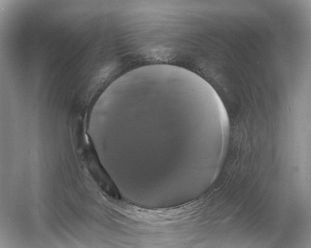 X0000060790027200512011718