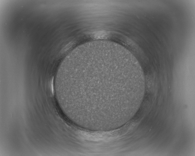 X0000060790028200512011718